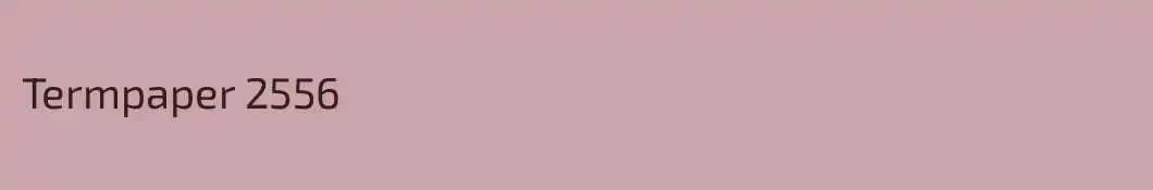 Termpaper 2556